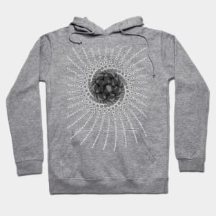 Galactic Phyllotaxis Spiral Hoodie